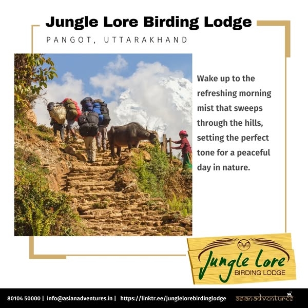 Awaken to the Morning Mist