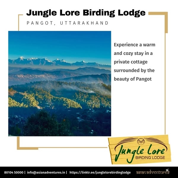 Cozy Up in Your Private Cottage