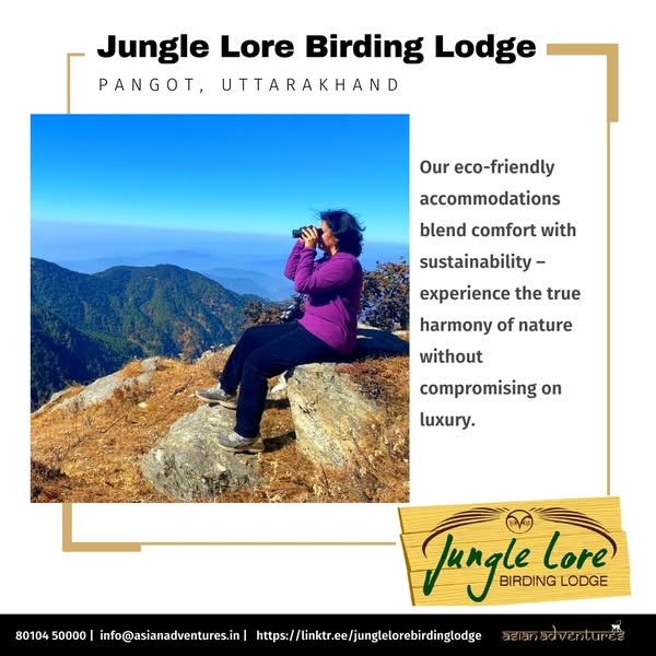 Eco-Friendly Stays in the Heart of Nature