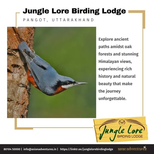 Embark on the Historic Pangot to Nainital Trail