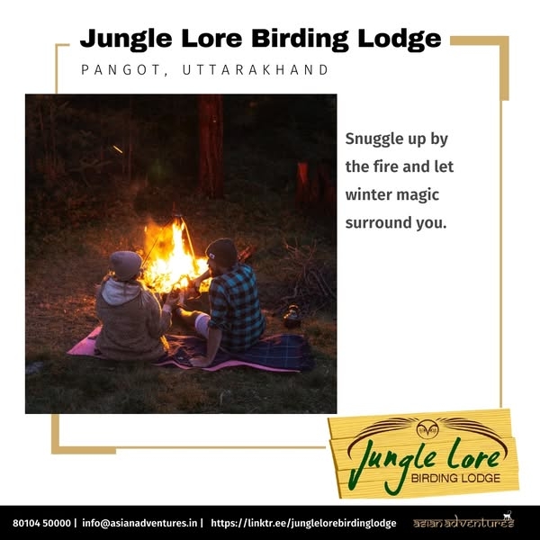 Jungle Lore Birding Lodge