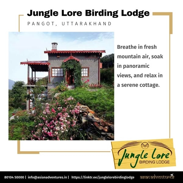 Reignite Your Spirit with a Nature Escape