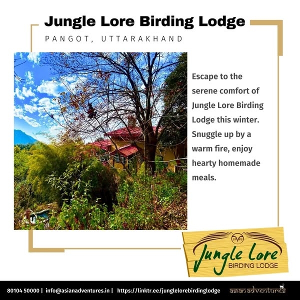 Cozy Winter Birding Retreat