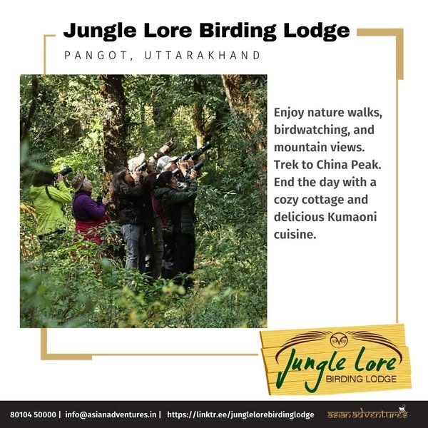Nature Walks at Jungle Lore Birding Lodge