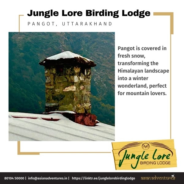 Snowfall at Jungle Lore Birding Lodge