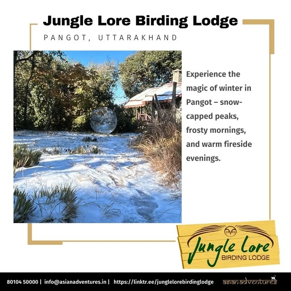 Winter Magic in the Himalayas