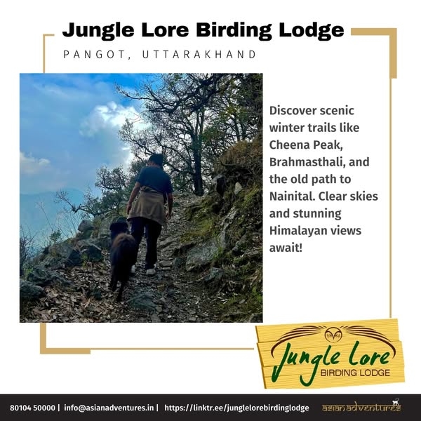 Winter Treks in Pangot