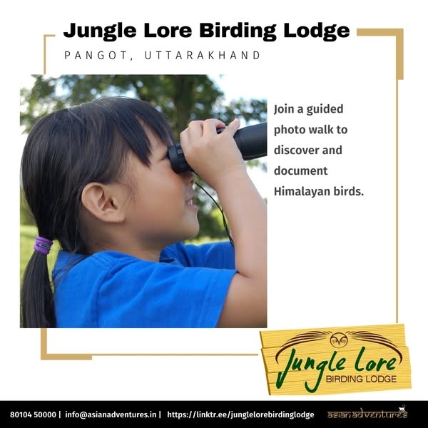 Embrace the Wilderness