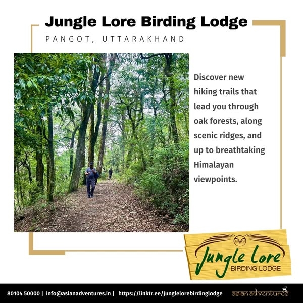 For the Love of Hiking