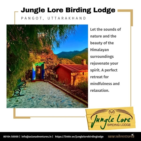 Reconnect with Yourself