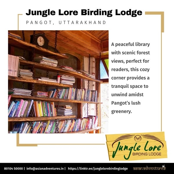 A peaceful library with scenic forest views