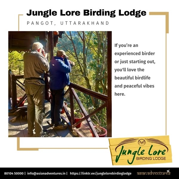 Birdwatcher’s Paradise