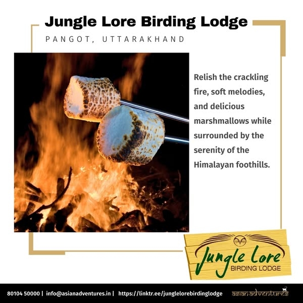 Bonfire Evenings at Jungle Lore Birding Lodge