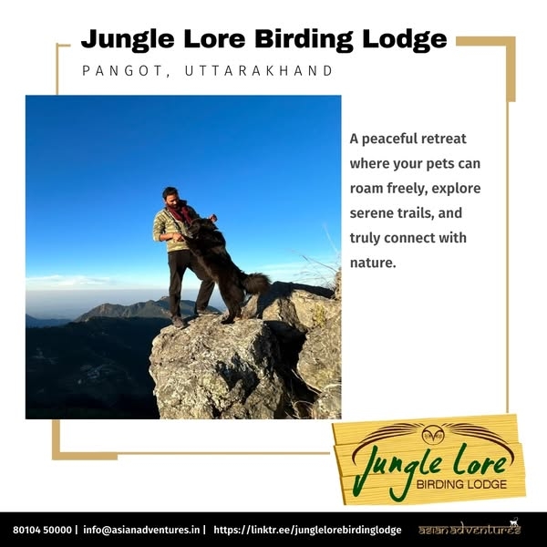 Bring Your Furry Friend to Jungle Lore!