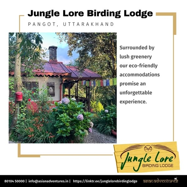 Eco-Friendly Himalayan Escapes in Pangot