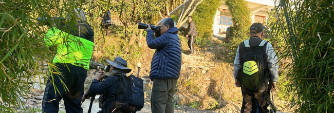 jungle-lore-birding-lodge