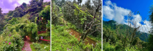 Jungle Lore Birding Lodge